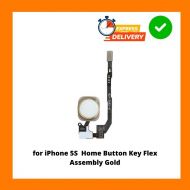for iPhone 5S  Home Button Key Flex Assembly WHITE