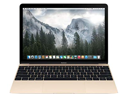 Apple Macbook A1534 2016-Early